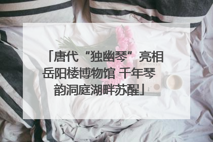 唐代“独幽琴”亮相岳阳楼博物馆 千年琴韵洞庭湖畔苏醒