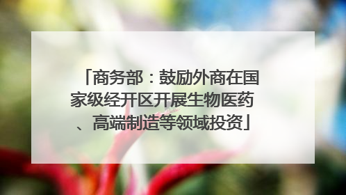 商务部：鼓励外商在国家级经开区开展生物医药、高端制造等领域投资