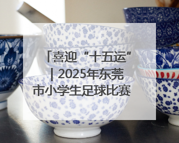 喜迎“十五运”｜2025年东莞市小学生足球比赛圆满收官