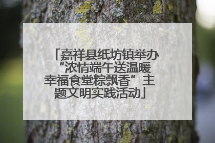 嘉祥县纸坊镇举办“浓情端午送温暖 幸福食堂粽飘香”主题文明实践活动