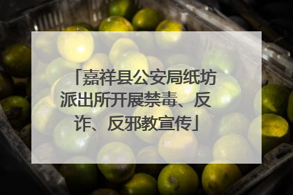 嘉祥县公安局纸坊派出所开展禁毒、反诈、反邪教宣传