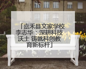 嘉禾县文家学校李志华：深耕科技沃土 铸就科创教育新标杆