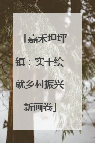 嘉禾坦坪镇：实干绘就乡村振兴新画卷