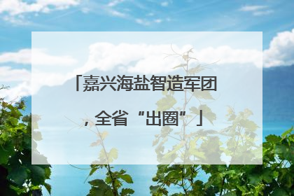 嘉兴海盐智造军团，全省“出圈”