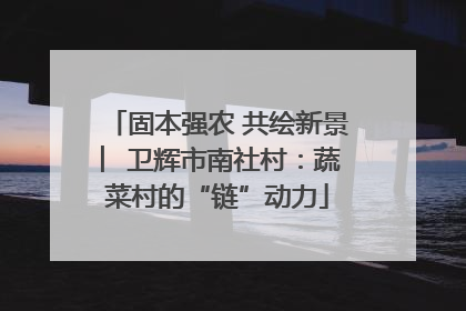 固本强农 共绘新景 ︳卫辉市南社村：蔬菜村的“链”动力