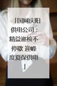 国网庆阳供电公司：精益巡检不停歇 迎峰度夏保供电