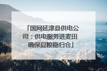 国网延津县供电公司：供电服务进麦田 确保夏粮稳归仓