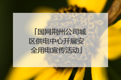 国网荆州公司城区供电中心开展安全用电宣传活动