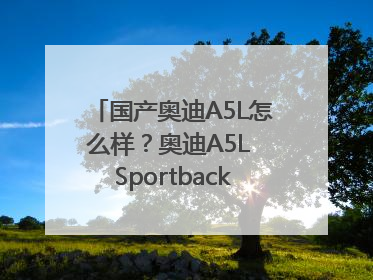 国产奥迪A5L怎么样？奥迪A5L Sportback以科技重塑豪华运动轿车市场格局