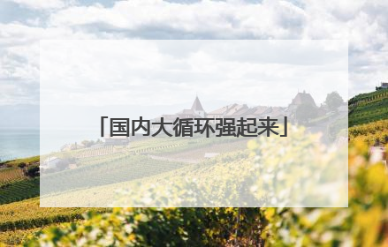 国内大循环强起来