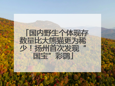 国内野生个体现存数量比大熊猫更为稀少！扬州首次发现“国宝”彩鹮