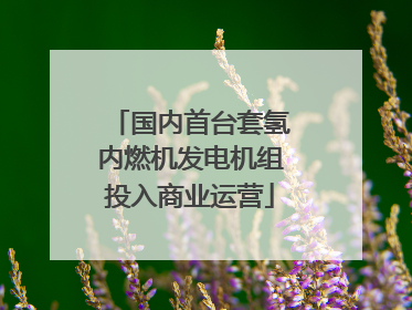 国内首台套氢内燃机发电机组投入商业运营