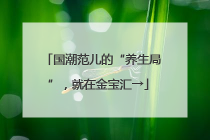 国潮范儿的“养生局”，就在金宝汇→