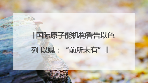 国际原子能机构警告以色列 以媒：“前所未有”