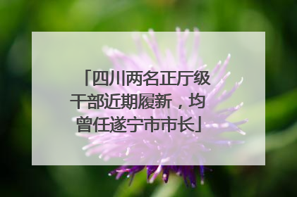 四川两名正厅级干部近期履新，均曾任遂宁市市长