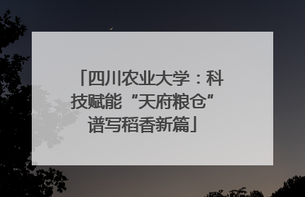 四川农业大学：科技赋能“天府粮仓”谱写稻香新篇