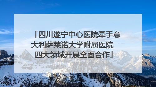 四川遂宁中心医院牵手意大利萨莱诺大学附属医院 四大领域开展全面合作