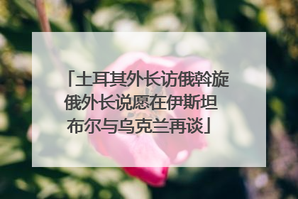 土耳其外长访俄斡旋 俄外长说愿在伊斯坦布尔与乌克兰再谈