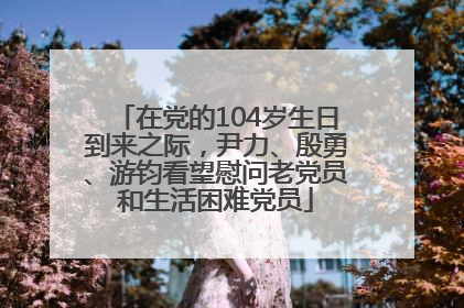 在党的104岁生日到来之际，尹力、殷勇、游钧看望慰问老党员和生活困难党员
