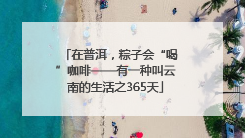在普洱，粽子会“喝”咖啡——有一种叫云南的生活之365天