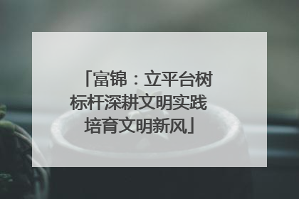 富锦：立平台树标杆深耕文明实践培育文明新风