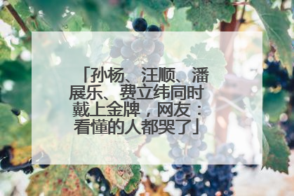 孙杨、汪顺、潘展乐、费立纬同时戴上金牌，网友：看懂的人都哭了