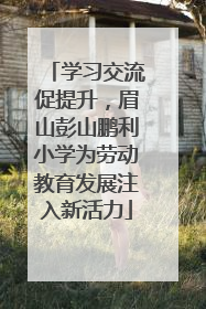 学习交流促提升，眉山彭山鹏利小学为劳动教育发展注入新活力