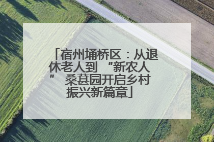 宿州埇桥区：从退休老人到 “新农人” 桑葚园开启乡村振兴新篇章