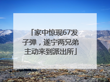 家中惊现67发子弹，遂宁两兄弟主动来到派出所