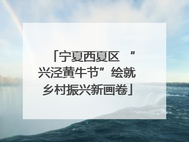 宁夏西夏区 “兴泾黄牛节”绘就乡村振兴新画卷