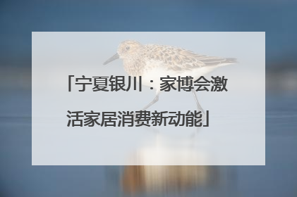 宁夏银川：家博会激活家居消费新动能