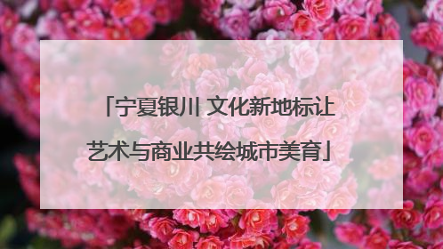 宁夏银川 文化新地标让艺术与商业共绘城市美育