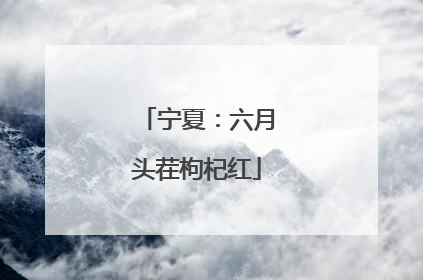 宁夏：六月头茬枸杞红