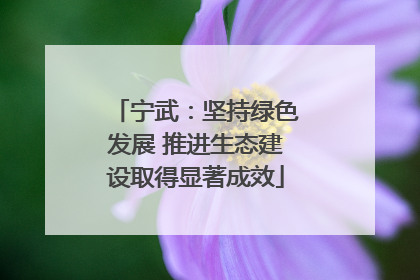 宁武：坚持绿色发展 推进生态建设取得显著成效