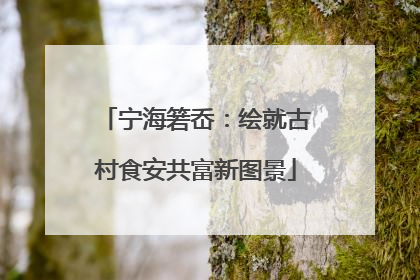 宁海箬岙：绘就古村食安共富新图景