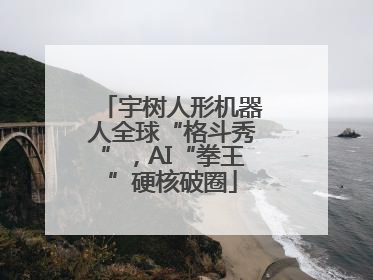 宇树人形机器人全球“格斗秀”，AI“拳王”硬核破圈