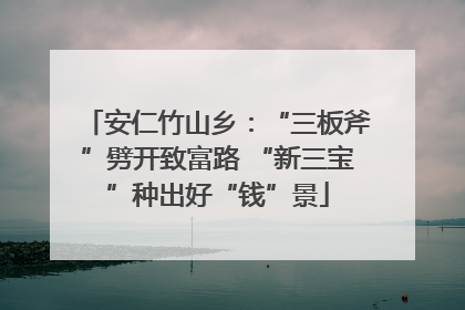 安仁竹山乡：“三板斧”劈开致富路 “新三宝”种出好“钱”景