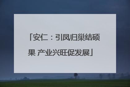 安仁：引凤归巢结硕果 产业兴旺促发展