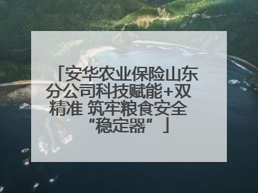 安华农业保险山东分公司科技赋能+双精准 筑牢粮食安全“稳定器”