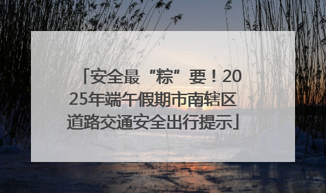 安全最“粽”要！2025年端午假期市南辖区道路交通安全出行提示