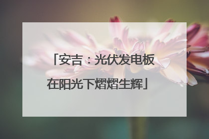 安吉：光伏发电板在阳光下熠熠生辉