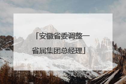 安徽省委调整一省属集团总经理