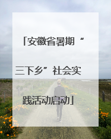 安徽省暑期“三下乡”社会实践活动启动