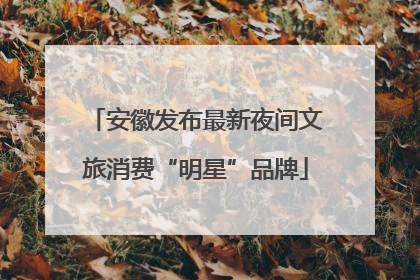 安徽发布最新夜间文旅消费“明星”品牌