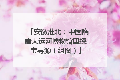 安徽淮北：中国隋唐大运河博物馆里探宝寻源（组图）
