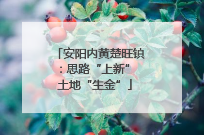 安阳内黄楚旺镇：思路“上新” 土地“生金”