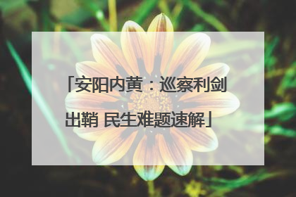 安阳内黄：巡察利剑出鞘 民生难题速解