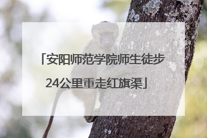 安阳师范学院师生徒步24公里重走红旗渠