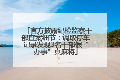 官方披露纪检监察干部查案细节：调取停车记录发现3名干部假“办事”真麻将