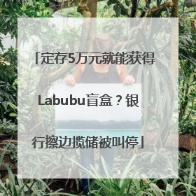 定存5万元就能获得Labubu盲盒？银行擦边揽储被叫停